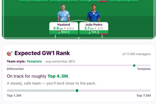 Tailored Effective Ownership — real product screen